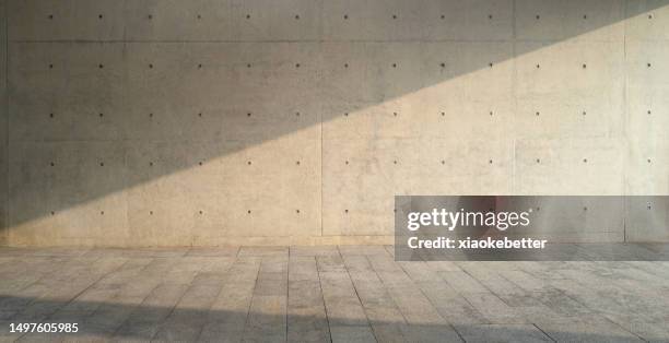 sunlight illuminates the concrete walls and parts of the clearing - betonnen muur stockfoto's en -beelden