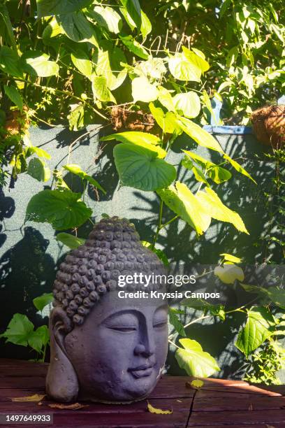 close-up of buddha statue head in garden - 庭の置物 ストックフォトと画像