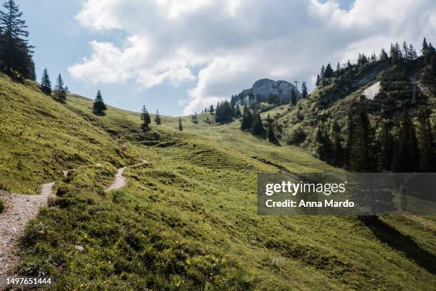 hiking path with taubenstein in the distance - bayerische alpen stock-fotos und bilder