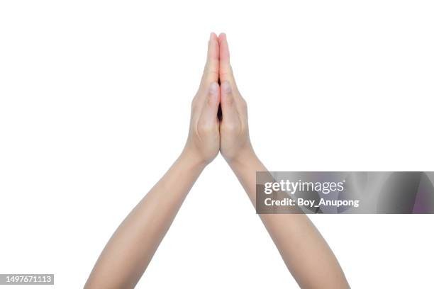 cropped shot of woman hands showing gesture known as a 'wai' isolated with white background. - 合掌 ストックフォトと画像