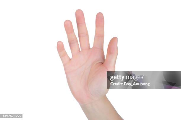 cropped shot of woman hand showing open hand isolated with white background. - palma de la mano fotografías e imágenes de stock