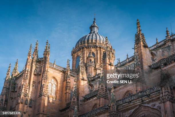 close up view of salamanca cathedral - salamanca stock pictures, royalty-free photos & images