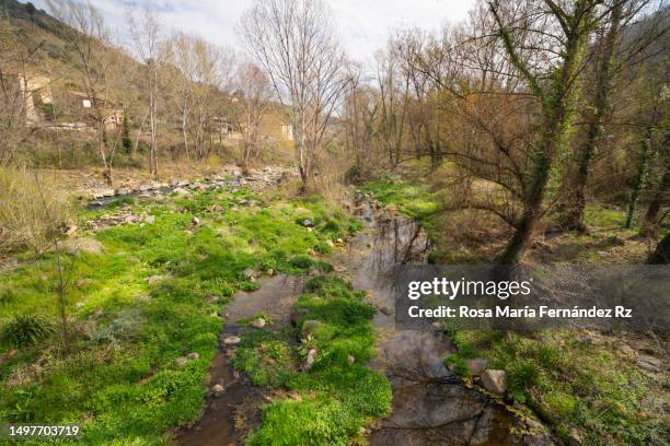 fluvia river in castellfollit de la roca, girona - castellfollit de la roca stock-fotos und bilder