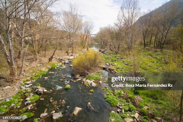 fluvia river in castellfollit de la roca, girona - castellfollit de la roca fotografías e imágenes de stock