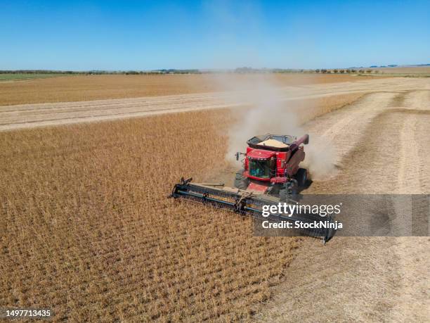 aerial picture of combine harvesting soya plants - soybean harvest stockfoto's en -beelden