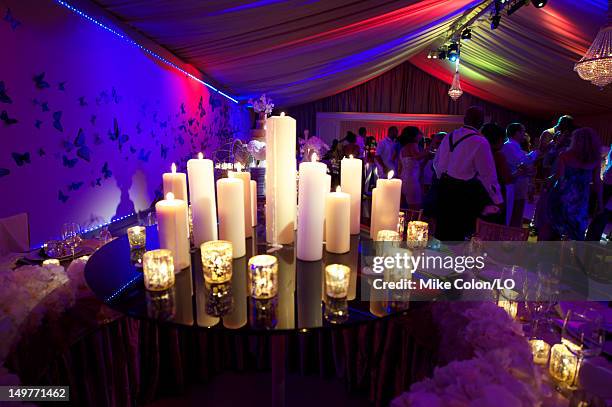 General view as Chad Ochocinco and Evelyn Lozada marry at Le Chateau des Palmiers on July 4, 2012 in St. Maarten, Netherlands Antillies.