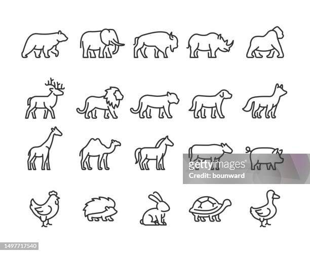 illustrazioni stock, clip art, cartoni animati e icone di tendenza di icone di linee animalier. pixel perfetto. tratto modificabile. - elefante