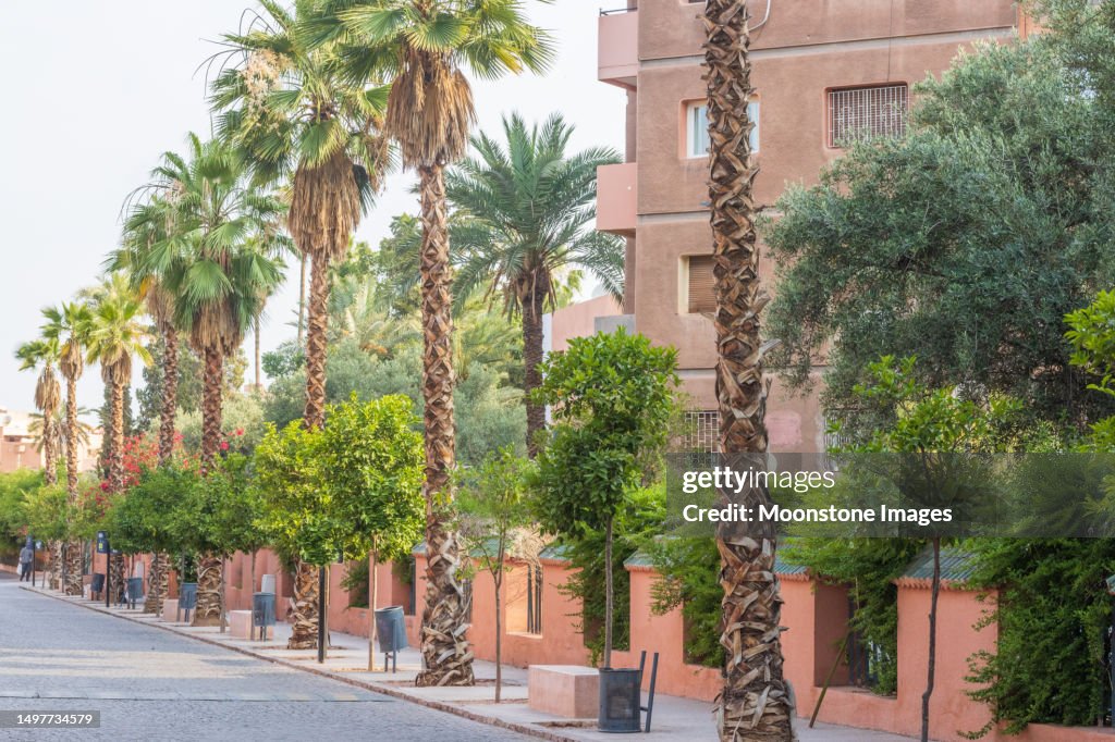 Rue Yves St Laurent in Marrakesch bei Marrakesch-Safi, Marokko