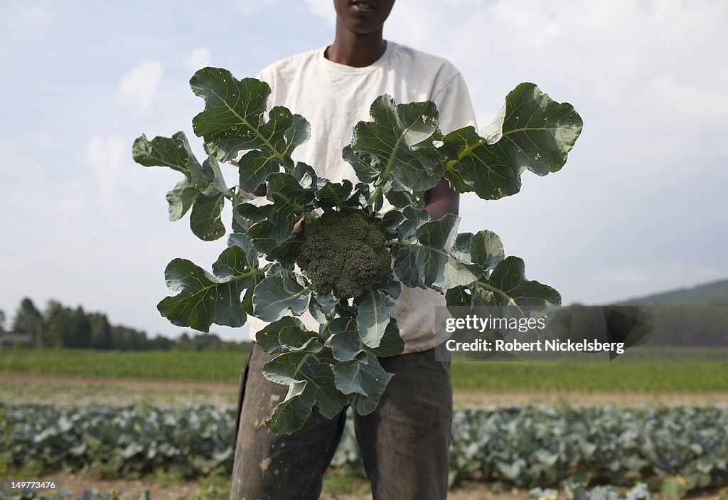 Clear Brook Organic Farm