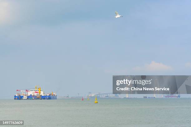 Vessel carrying the last undersea tube berths at the construction site of Shenzhen-Zhongshan Link of the Guangdong-Hong Kong-Macao Greater Bay Area...