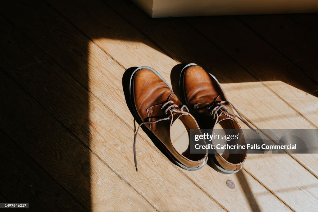 Top down, simple, conceptual image of a pair of brown brogues, illuminated by sunlight