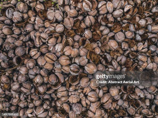large pile of coconut shells shot from a drone perspective, bali, indonesia - dry rot stock pictures, royalty-free photos & images