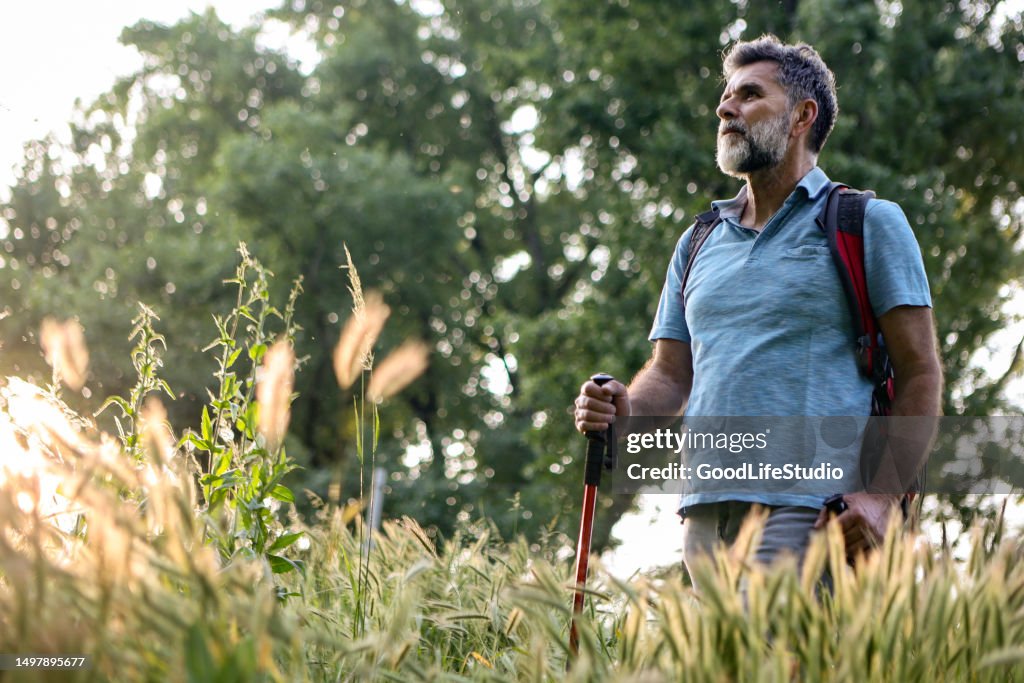 Guy In Nature Man In Nature High-Res Stock Photo - Getty Images