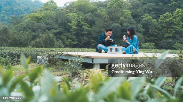 führung durch den teegarten und mittagessen eines paares im teegarten - asian couple having hi tea stock-fotos und bilder