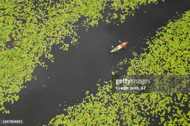 high angle view of two mid adult asian friends going for a canoe ride on the lake. two female kayakers enjoy paddling through the channels and canals in summer during taking a rest in weekend. the best way to get around by boat. good mental health - kroos stockfoto's en -beelden