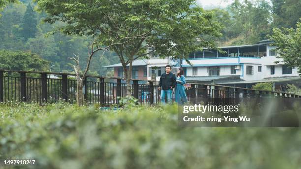 tea garden guided tour, and couple having lunch time in the tea garden - asian couple having hi tea stockfoto's en -beelden