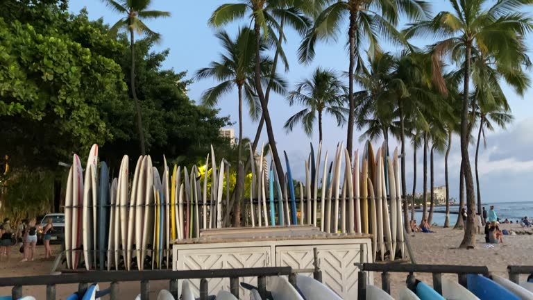 Mellow Racks Beach Surf Rack Videos and HD Footage - Getty Images