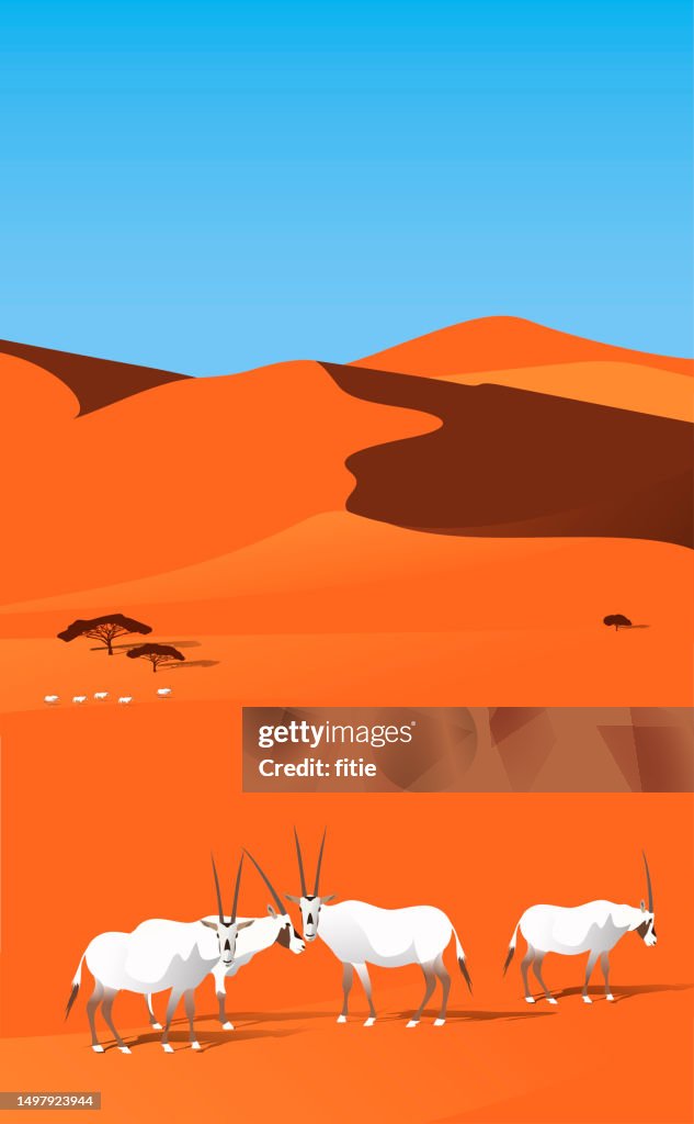 Desert Conservation Reserve,Arabian desert landscapes with Oryx family