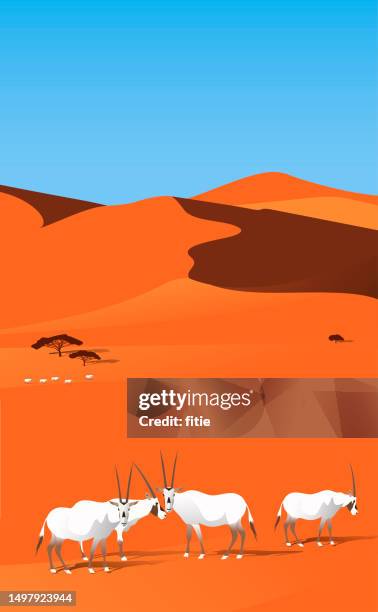 desert conservation reserve,arabian desert landscapes with oryx family - desert safari stock illustrations