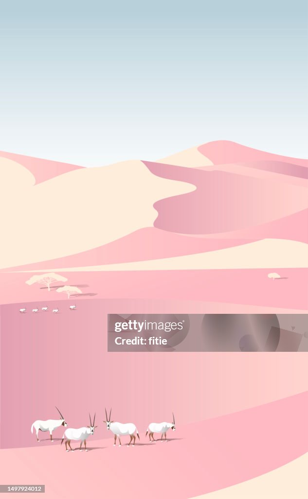 Desert Conservation Reserve,Arabian desert landscapes with Oryx family