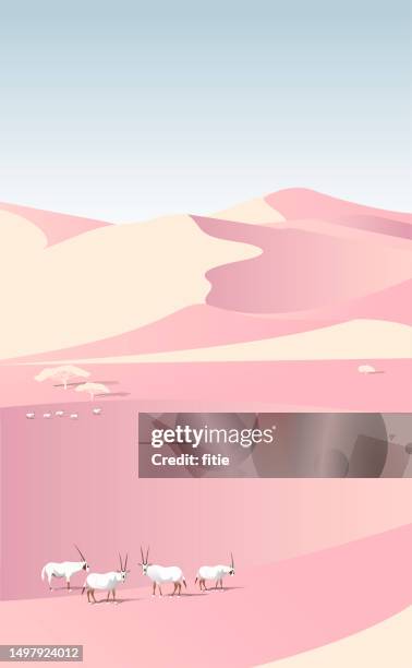 desert conservation reserve,arabian desert landscapes with oryx family - dubai aerial stock illustrations