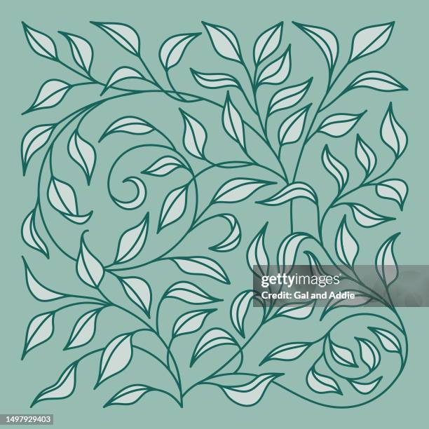 tree plant foliage square template - vine pattern stock illustrations