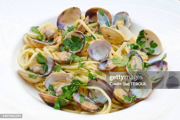 linguinie clams - clams 個照片及圖片檔