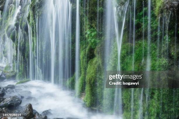 moss and water - isogawyi stock pictures, royalty-free photos & images