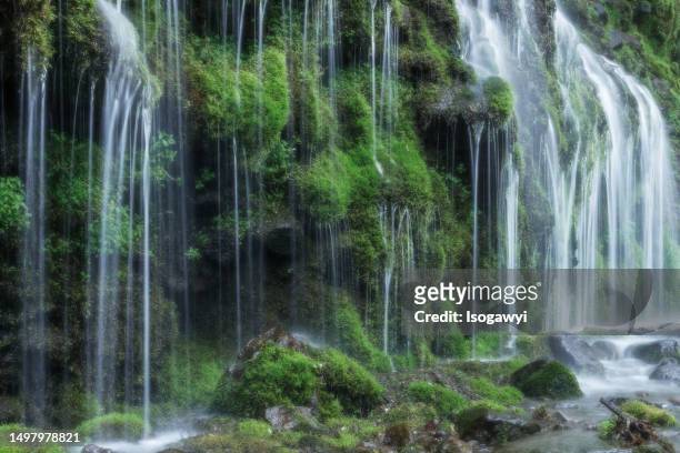 mossy rocks and clear spring waterfalls - isogawyi fotografías e imágenes de stock