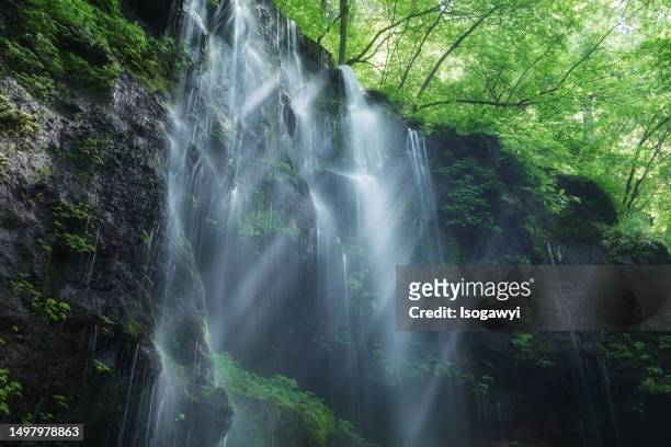 waterfalls with sunlight through the trees - isogawyi stock pictures, royalty-free photos & images