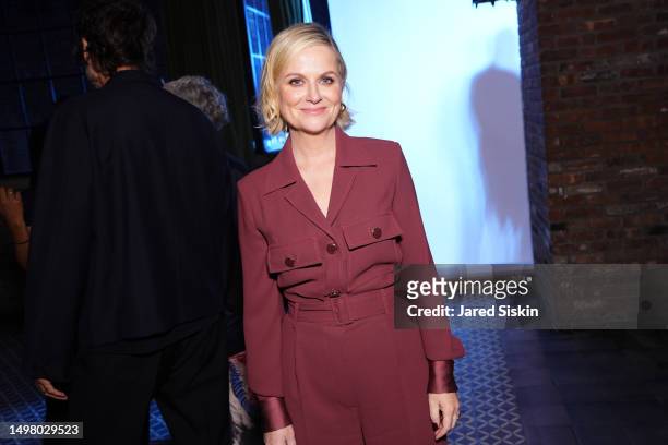 Amy Poehler attends as Ketel One Vodka Co-Hosts the After Party for the Premiere of ‘First Time Female Director’ at Tribeca Festival on June 12, 2023...