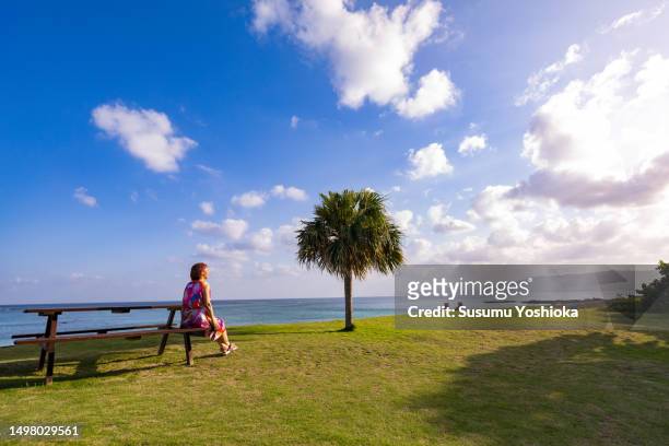 a woman staying at a resort inn on a southern island. - 鹿児島県 stockfoto's en -beelden