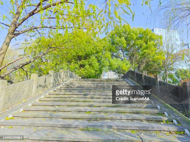 outdoor stairs without people - tree forest flowers stockfoto's en -beelden