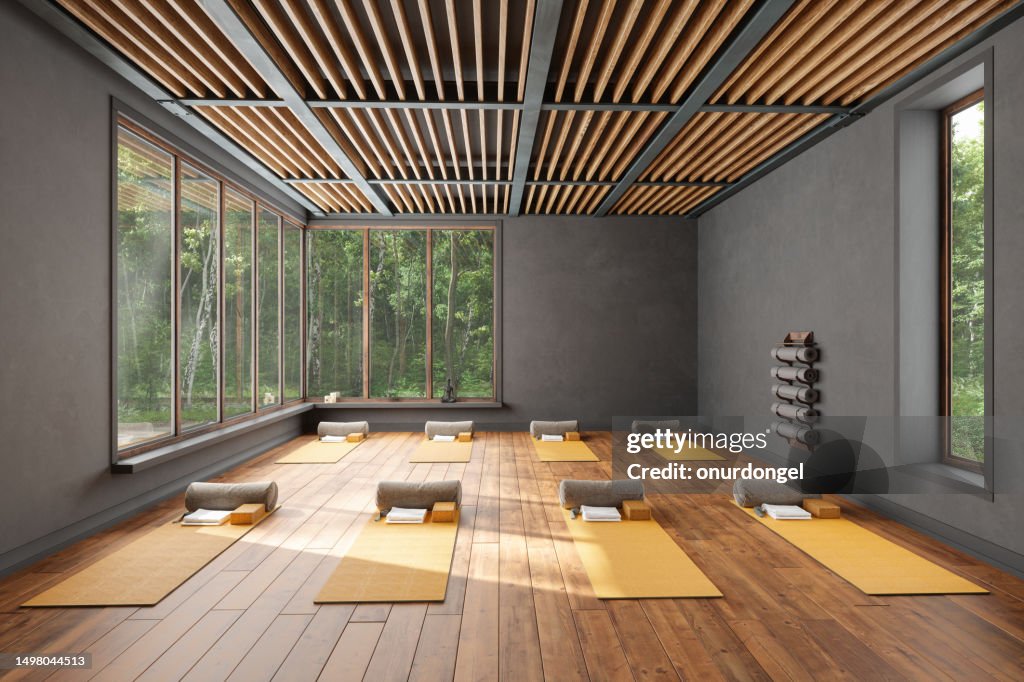 Empty Yoga Studio Interior With Exercise Mats, Pillows, Yoga Blocks And Garden View From The Window