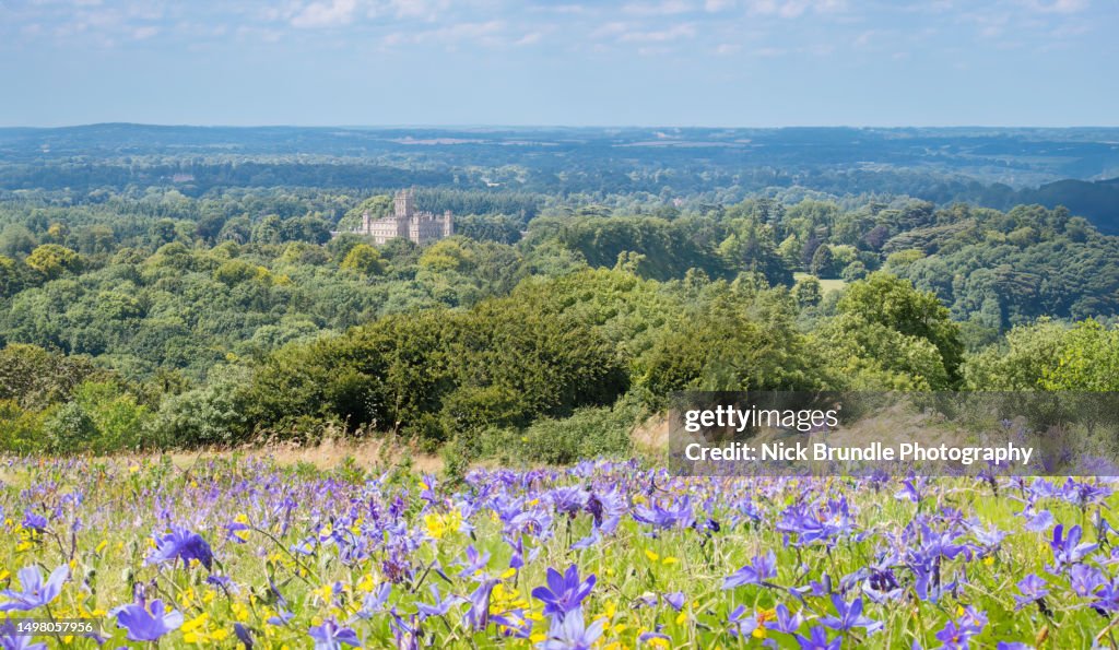 Highclere castle, Hampshire, England.