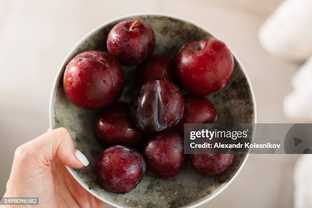 female hands holding a plate of red ripe plums - 96 well plate stock pictures, royalty-free photos & images