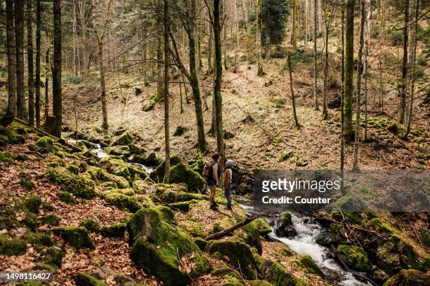 two women in forest by stream - freiburg im breisgau stock pictures, royalty-free photos & images
