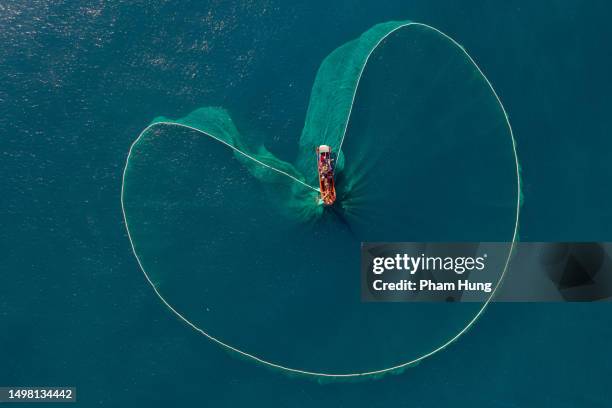 netting anchovies - phu yen province stock pictures, royalty-free photos & images