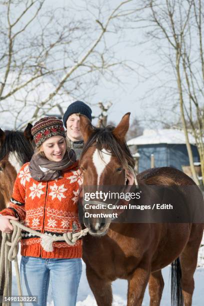 young couple standing with horses in barn, bavaria, germany - bayern winter stock-fotos und bilder