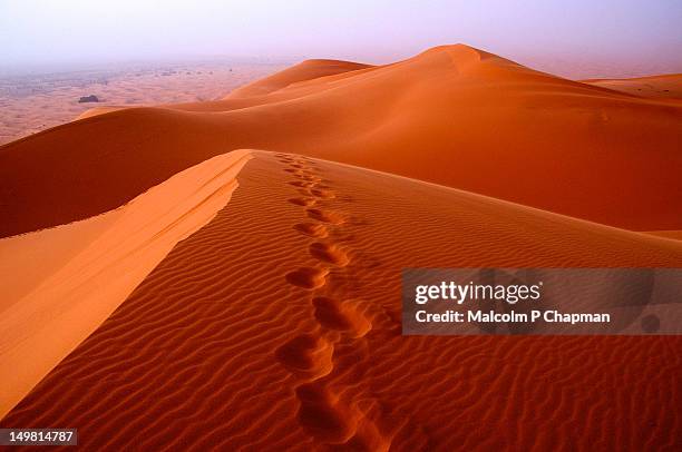 footprints in desert sand - merzouga stock pictures, royalty-free photos & images