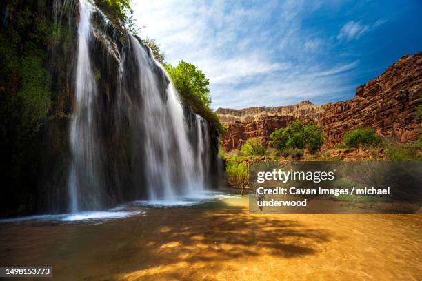 woman swimming at 50ft falls - supai stock-fotos und bilder