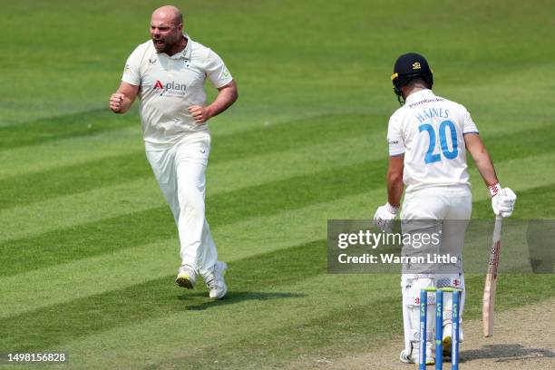 Joe Leach of Worcestershire celebrates the wicket of Tom Haines of Sussex after they were caught out by Gareth Roderick of Worcestershire during the...