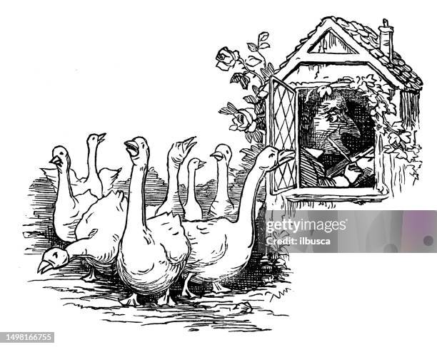 british satire caricature comic cartoon illustration - quill pen stock illustrations