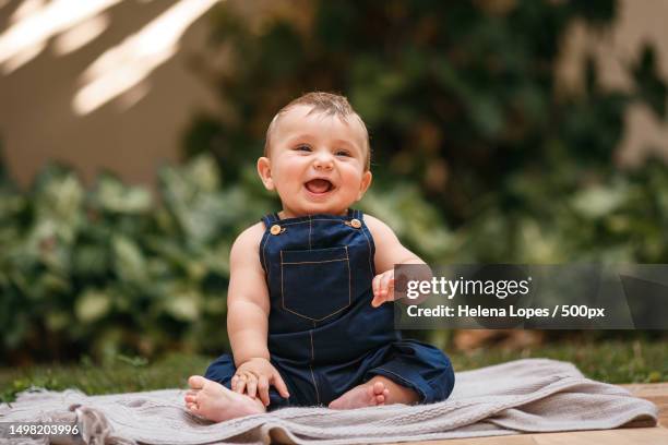 cute baby boy sitting on picnic blanket in park,belo horizonte,state of minas gerais,brazil - un solo niño bebé fotografías e imágenes de stock