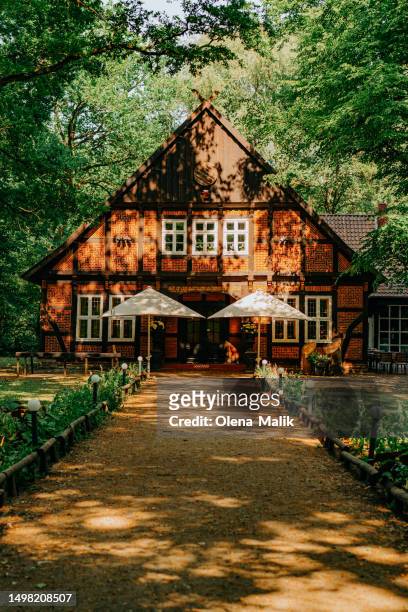 traditional chalet in summer forest - hanover germany 個照片及圖片檔