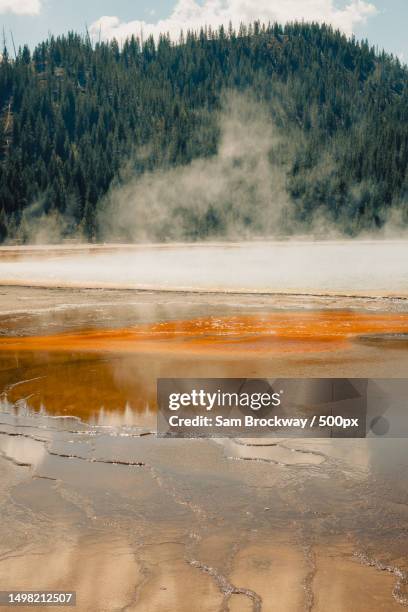 1,104 Archaea Stock Photos, High-Res Pictures, and Images - Getty Images