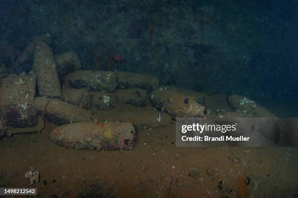 14 Inch Shell 11,773 14 Inch Stock Photos, High-Res Pictures, and Images - Getty Images