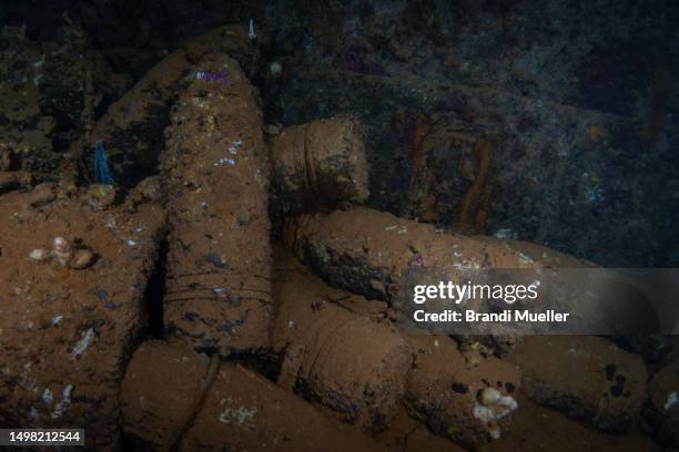 14 Inch Shell 11,780 14 Inch Stock Photos, High-Res Pictures, and Images - Getty Images