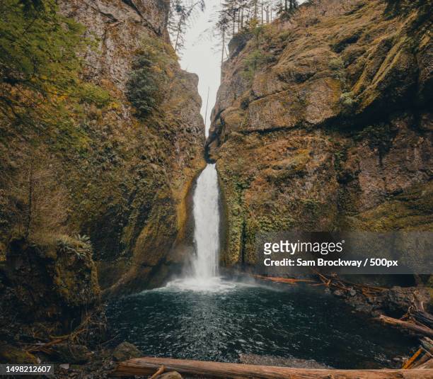 scenic view of waterfall in forest - columbia south carolina stockfoto's en -beelden