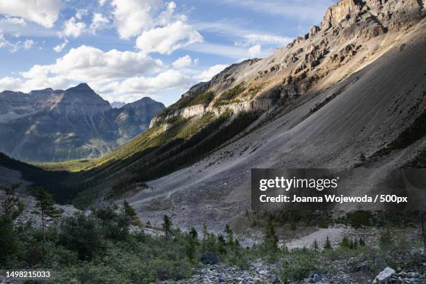 scenic landscape with forest and canadian rockies,stanley glacier,canada - high walde stock pictures, royalty-free photos & images